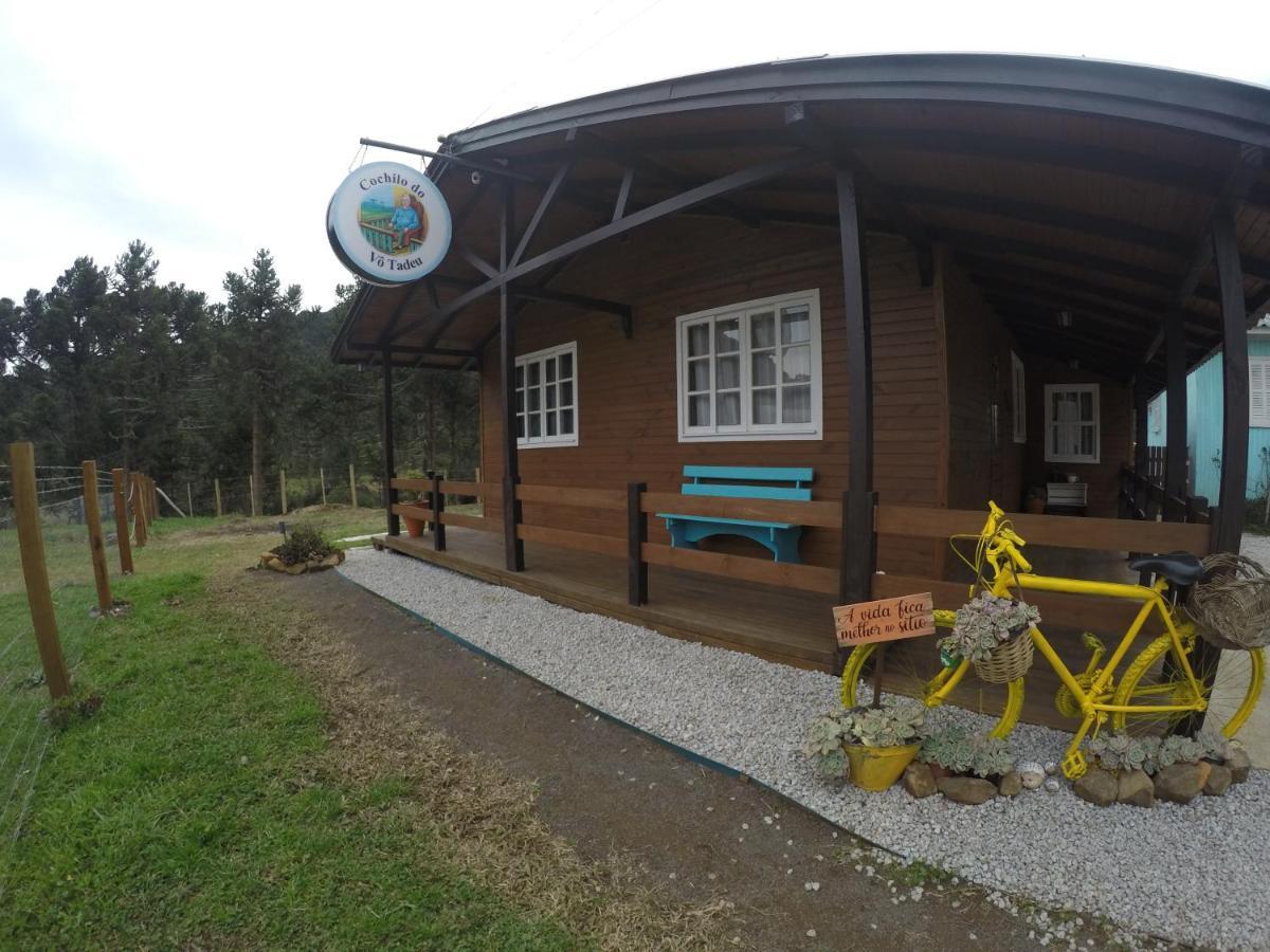 Casa Cochilo Do Vo Tadeu Holiday home Bom Jardim da Serra